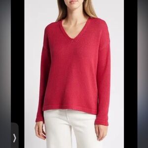 Eileen Fisher wool v neck sweater
